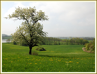 Frühjahrswanderung 2013