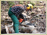 Arbeitseinsatz am Kleinen Gleichberg - Oktober 2014
