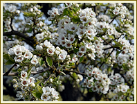 Frühlingswanderung 2016