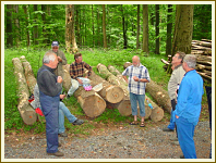 Arbeitseinsatz an der Steinsburg