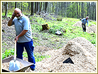 Arbeitseinsatz an der Steinsburg - April 2017