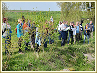 4. Mühlenwanderung - Mai 2017