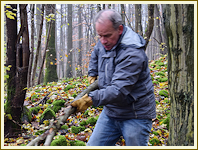 Pflegeeinsatz an der Steinsburg - November 2017