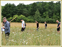 Projekttag am Grünen Band - Juni 2018
