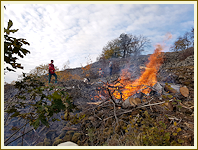 Arbeitseinsatz an der Steinsburg - November 2018