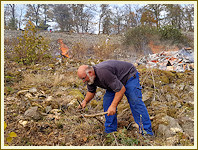 Arbeitseinsatz an der Steinsburg - November 2018