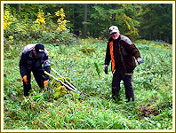 Arbeitseinsatz an der Steinsburg - Oktober 2020